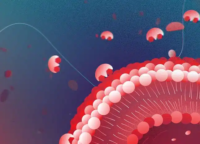Portfolio 7